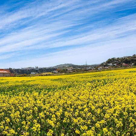 Dejablue. Villa Rural Junto Al Mar Y La Montana Santa Maria de Guia de Gran Canaria エクステリア 写真